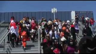 Anime Expo 2008 - Naruto Carmelldansen Group