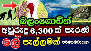 අවුරුදු 6,300ක් පැරණි ලේ පැල්ලමක් බලංගොඩින්. පරිණාමවාදය? | Balangoda manawaya