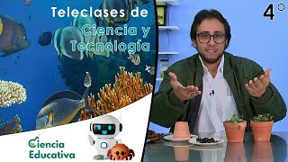 Ecosistemas | Teleclases C y T 4° Grado