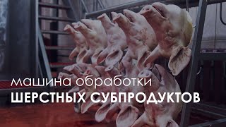 Машина обработки шерстных субпродуктов FELETI LF-C | Wool offal processing