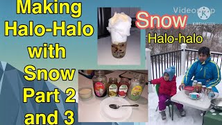 Making Halo-halo with Snow