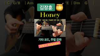 김장훈 - 허니 🍯 기타 쉬운 코드, 주법 완벽 강좌 🎸 #벤티볼리오 #통기타독학