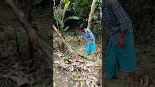 Bananas cutting scene 🌴🍌(ep-23).#shorts #shortvideo #trending