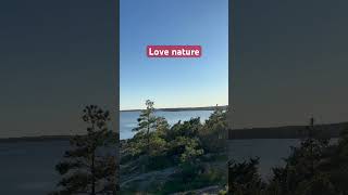 Nature #shortvideo #youtube #forest#relaxing #bonsai #tree #fypシ゚