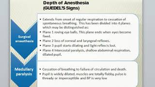 Stages of General Anesthetics