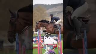 Попробуем собрать 100 реакций «🏆»?)))) #shorts #viral #trending #sports #pets #horse #amazing