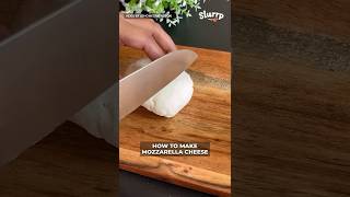 Mozzarella Cheese At Home | Slurrp App