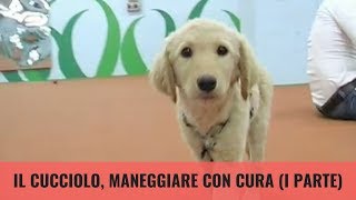 Il cucciolo, maneggiare con cura (I parte)