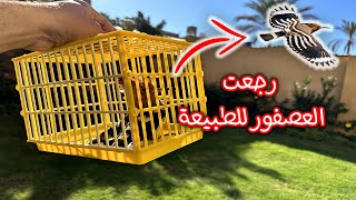 اشتريت عصفور و اطلقت صراحة لوجه الله امام الكاميرا