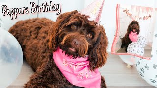 OUR PUPPY'S FIRST BIRTHDAY!! | Puppy Birthday Vlog 2020