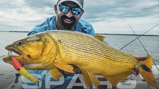 Pesca en el ALTO PARANA