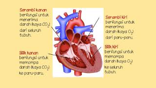 Tema 4 sub 1 pb 1 2