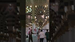 Inside View of Masjid e Nabawi | #shorts #shortsfeed #ytshorts #masjidnabwi #trending #islam #umrah