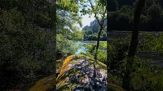 🇪🇸 🌳 Río Miño (Ourense) #Senderismo #Galicia #España #Shorts