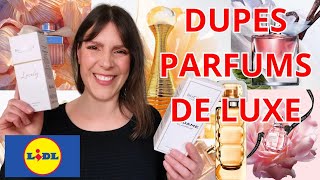 5 PARFUMS LIDL : Des dupes de parfums de luxe !