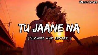 Tu Jaane Na [ Slowed and Reverb ] Music Lover