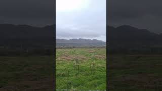 mountains in Sligo