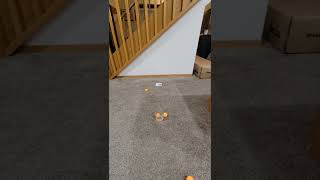 Ping Pong Trick Shot 3