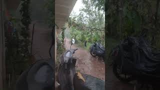 #Rain Whitefield Bangalore 💨💨💨💨🌧️🌧️🌧️🌩️🌧️🌧️🌧️🌦️