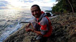 MUSIM IKAN JALU YA ll MANCING BARONANG II Rabbitfish