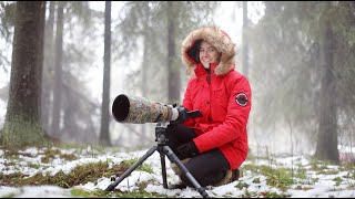 BACK IN SWEDEN! ❤️ Finding my Red squirrel friends