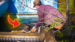 A Man's Confusion Turns to Compassion as a Stray Dog Seeks Help for Its Companion