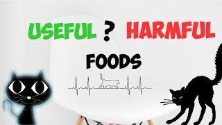 WHICH HUMAN FOODS ARE HARMFUL FOR CATS?