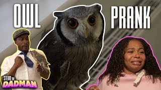 AN OWL…DEAD RATS… What The?! (Prank Wars) | StevoTheDadMan Show