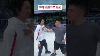 Chinese Kung Fu: Grappling and Fighting