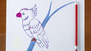 Simple Cockatoo Drawing with Colour Pencil | Easy Step-by-Step Tutorial