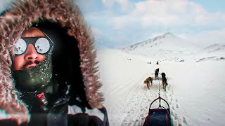 Crossing A Glacier By Dogsled In Svalbard 🇳🇴