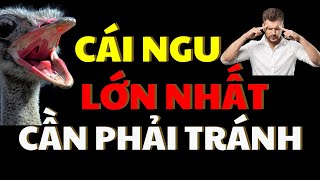 5 Cái Ngu Lớn Nhất Đời Người Cần Phải Tránh