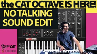 🔥 Octave the CAT Synth | NO TALKING SOUNDS LIVE EDITING | Cherry Audio | @AGDugros