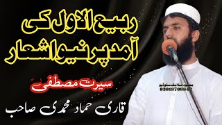 Qari hammad muhammadi shb sirat e mustfaؐ  new vedio rabi ul awal 2024