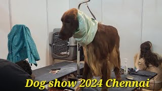 Chennai Dog show 2024|KCI|Madras Canine club|FCI international Dog show 2024