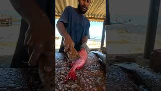 🔥 SPEED Fish Cleaning Red Snapper Fish Cutting (American Red Snapper)