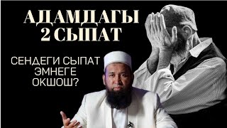 АДАМДАГЫ 2 СЫПАТ. СЕНДЕГИ СЫПАТ ЭМНЕГЕ ОКШОШ?