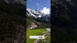 Basho Meadows Kumrat Pakistan #shorts