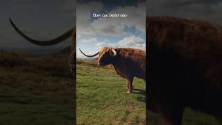 How a “dating app for cows” leads to better grades