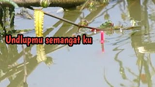 Mancing nyobok rawa sian kudus-pati