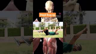 تمارين الجذع ( core exercises ) لازم تعملها ها تحميك من إصابات كتير  ✅