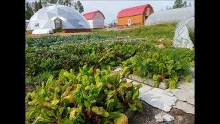 How to Farm in The Arctic? [Lastest News]