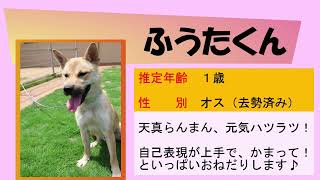 ウチの推しの子紹介します（広報高松9月号）