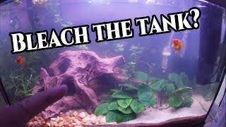 Can BLEACH save a FISH TANK?? | Bleaching plants to kill algae.