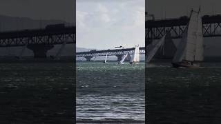 Sailboats competition | so close they are about to hit each other 😮😦 #shorts #sailboat