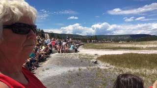 Yellowstone: Bozeman Montana July 2016 Trip