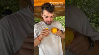 Influenciador español prueba la granadilla por primera vez (fruta típica de Colombia) #travel