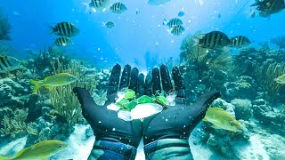 Sea Glass Hunting Underwater in the Bahamas! (Sharks Spotted)