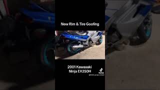 New Tire Plus Paint 🎨 2001 Kawasaki EX250H or ZZR250 or 250R Motorcycle