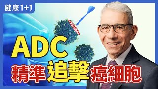 化療的「精準路線」，抗體藥物複合物(ADCs)的癌症治療機制，耶魯大學癌症中心主任的看法 | 健康1+1 · 影片